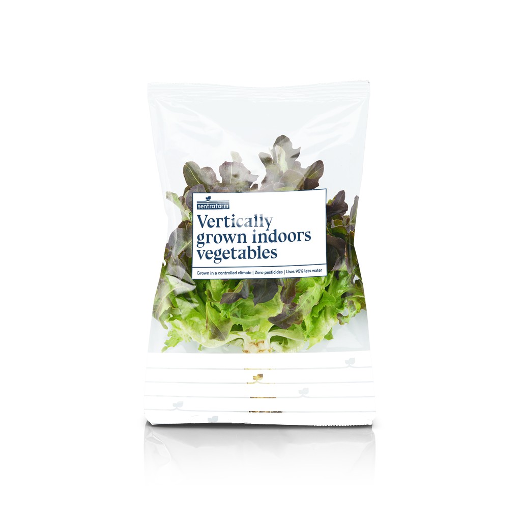 

Red Oakleaf Lettuce Hidroponik (250 gr)