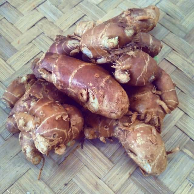 

Kencur 250gr