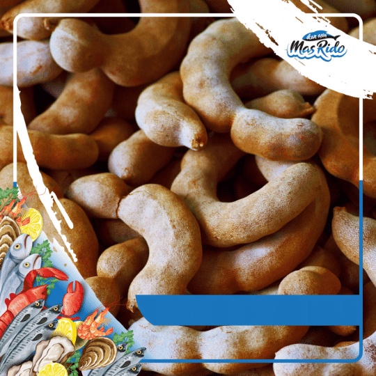 

Asam Bangkok Sweet Tamarind Matang Super Buah Asem Masih Ada Kulit