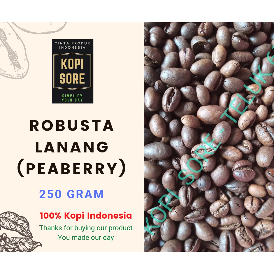 Jual Kopi LANANG PEABERRY ROBUSTA LAMPUNG 250 Gr Shopee Indonesia