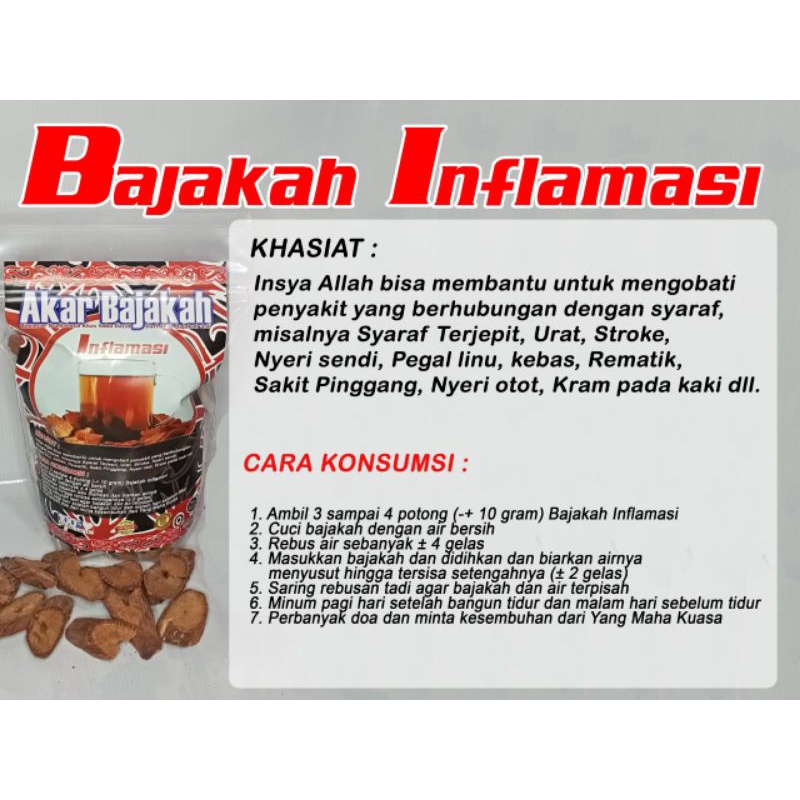 

Akar Bajakah Inflamasi (A1 Grade Premium A+)