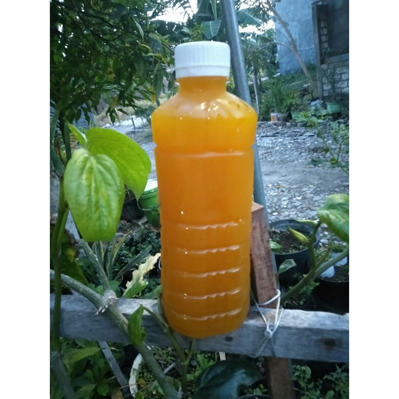 

Jamu Kunir Asem Seger