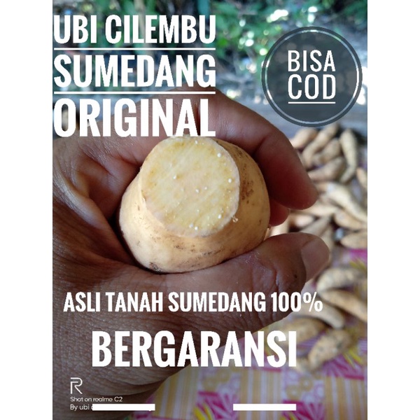 

Ubi Cilembu mentah 1 kg/ubi madu