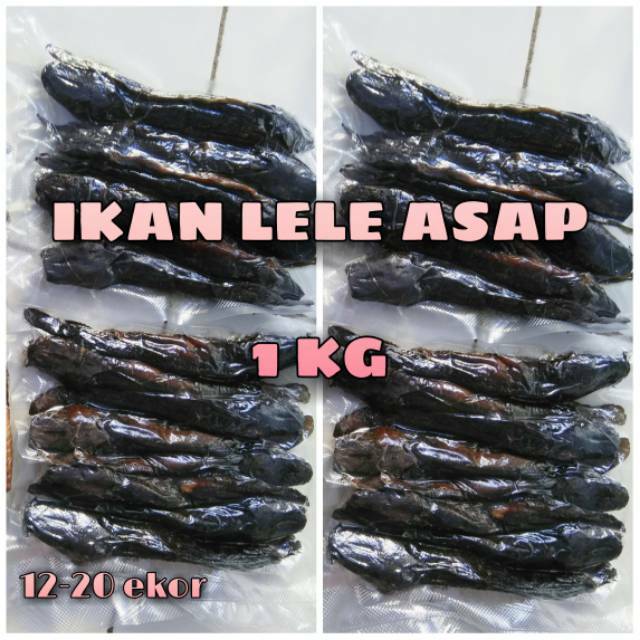 IKAN LELE ASAP 1 KG