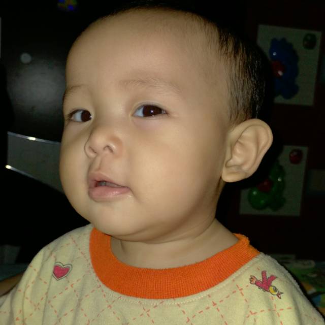 maulanasyariefrayhan