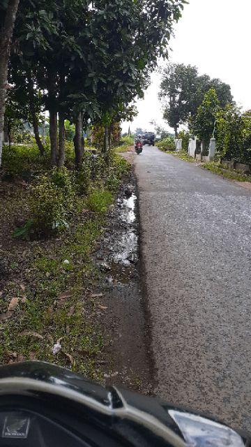 Bswart Batik Hrb026 Kenongo Hem Pendek Padi Pekalongan M L Xl Batik Pria Murah Modern