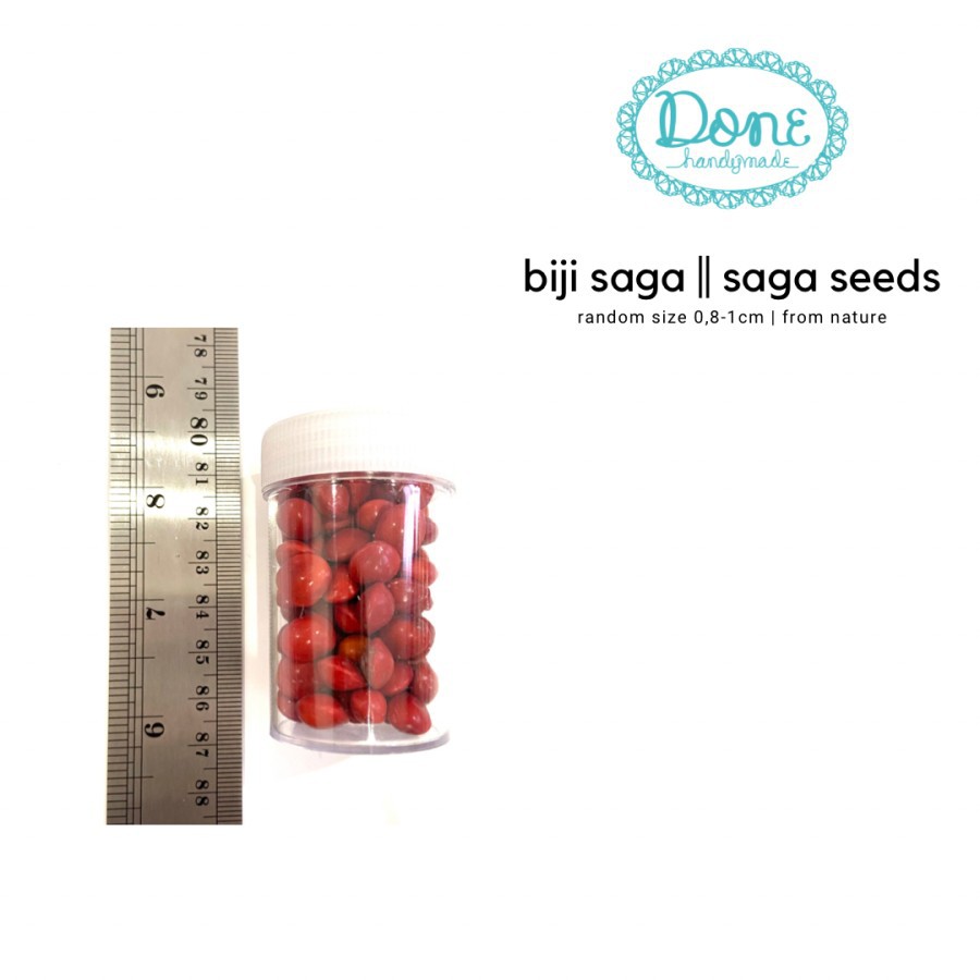 Biji saga seeds souvenir decoration sovenir kerajinan tangan scrapbook