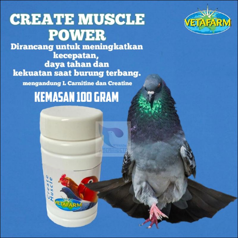 CREATE MUSCLE VETAFARM