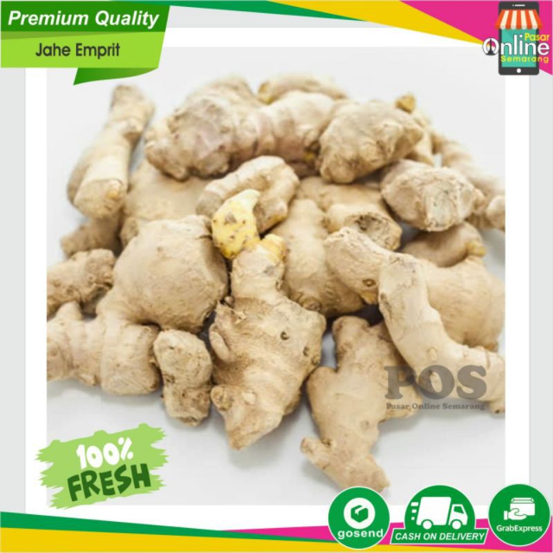 

Jahe / Empon Empon / Rempah Rempah / Jamu Jahe / Bumbu Masak /Jahe Emprit /Murah /Cod /Pasar Online
