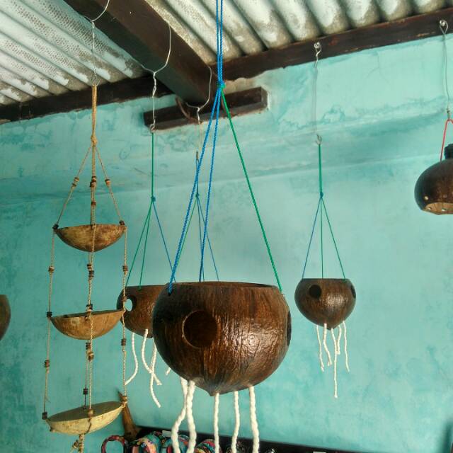 Pot Bunga Anggrek Gantung dari Batok Kelapa Shopee Indonesia Pot Bunga Anggrek Gantung dari Batok Kelapa Shopee Indonesia