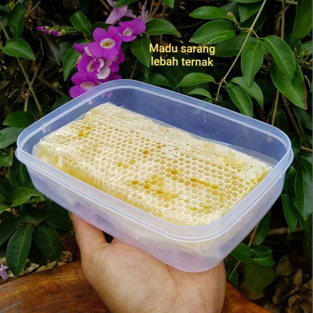

Madu sarang odeng