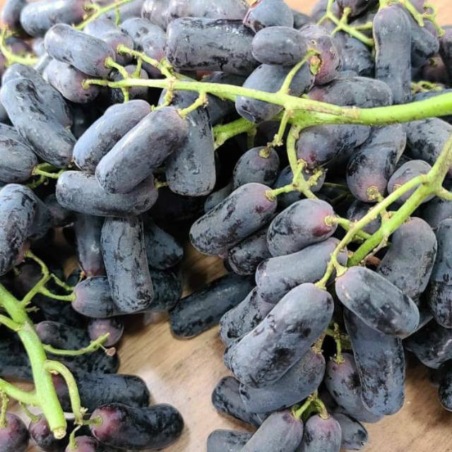 Buah Anggur Hitam Moondrop Sweet Saphire Aus Anggur Jarip Shopee Indonesia