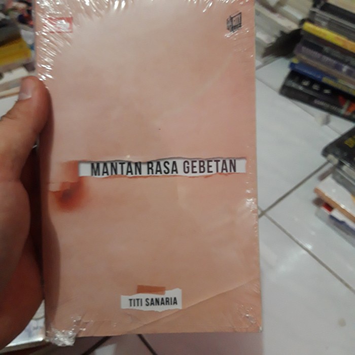 novel mantan rasa gebetan