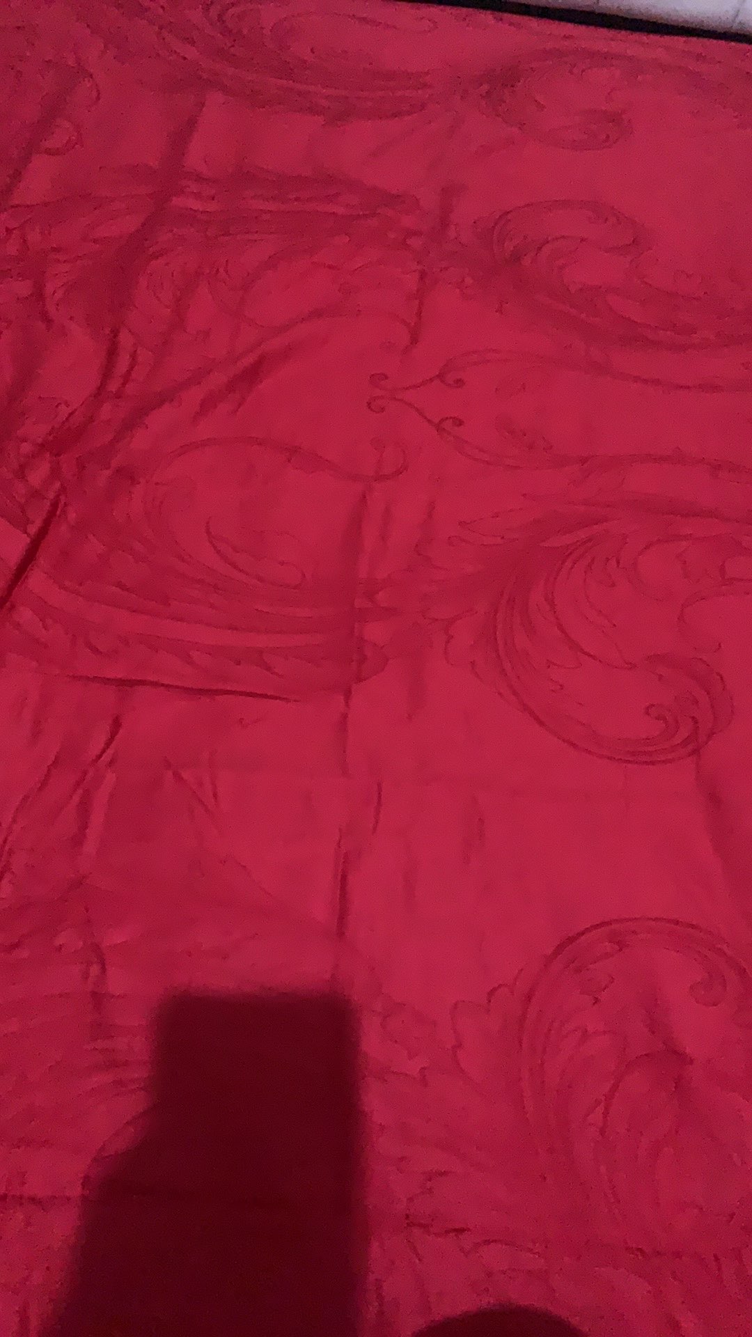 Sprei Full Cotton Organic - Katun Jaquard Asli Ukuran King - 180x200 Tinggi 30cm Bantal 4 & Bantal 2