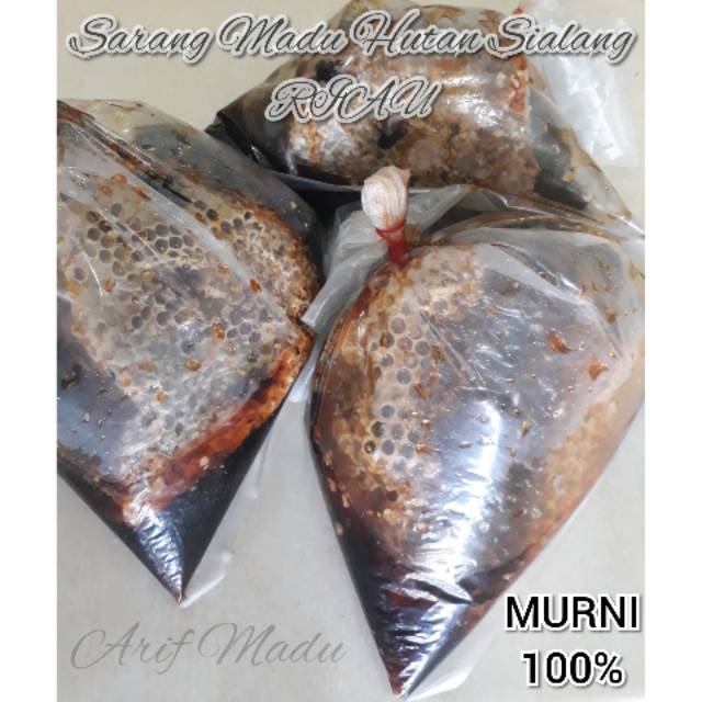

Madu Sarang Hutan Sialang Riau 500 grm