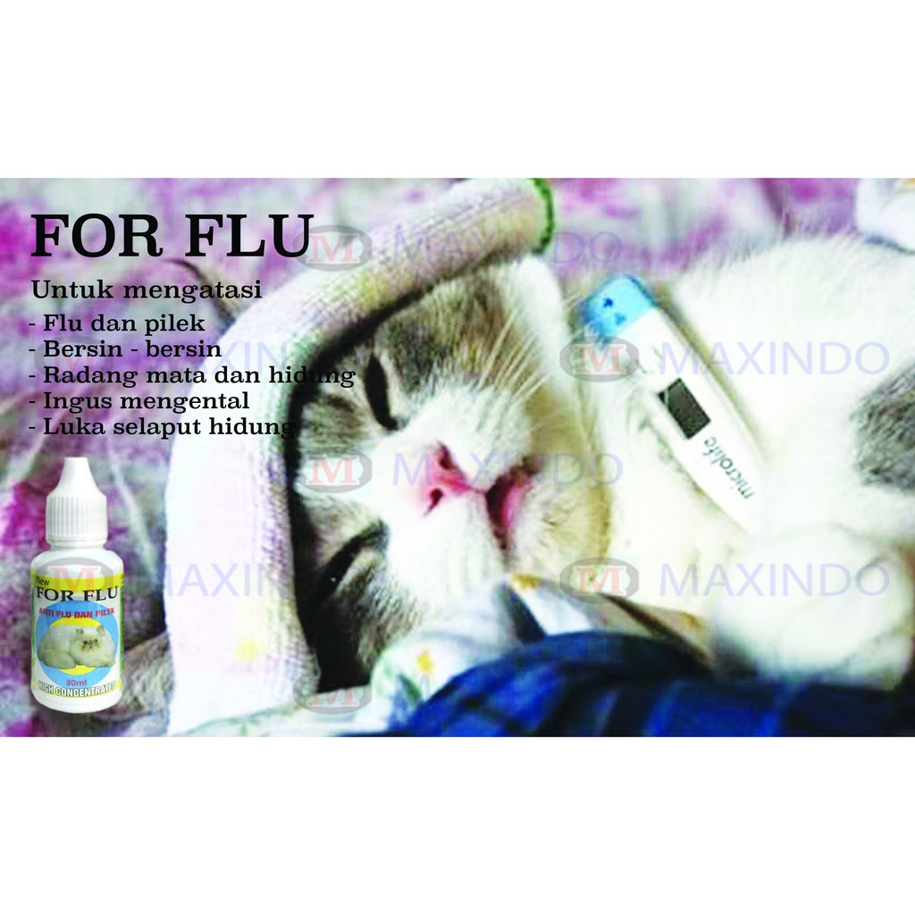 Obat Flu dan Pilek Maxindo For Flu Cat 30 ml