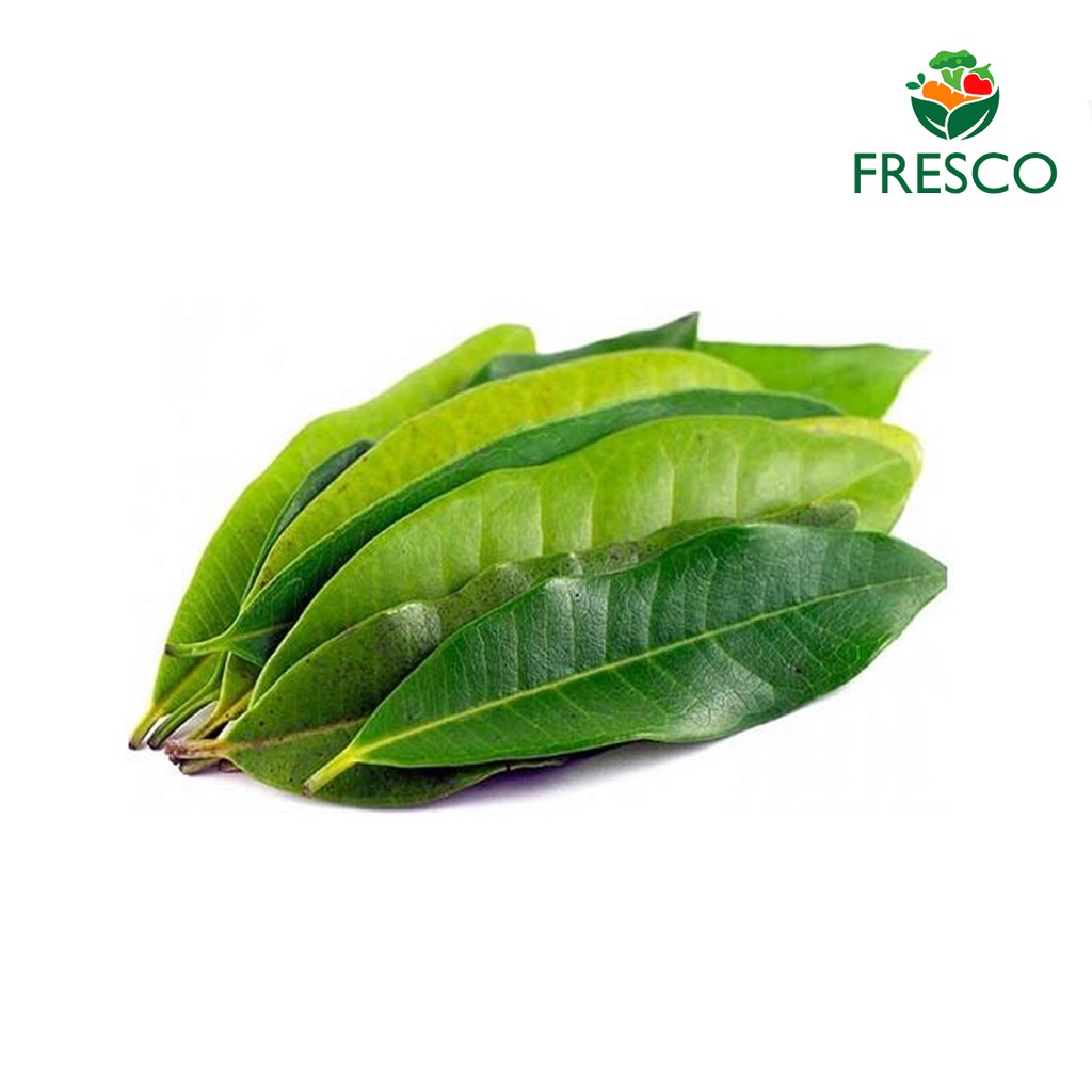 

Daun Salam - Sayuran Segar