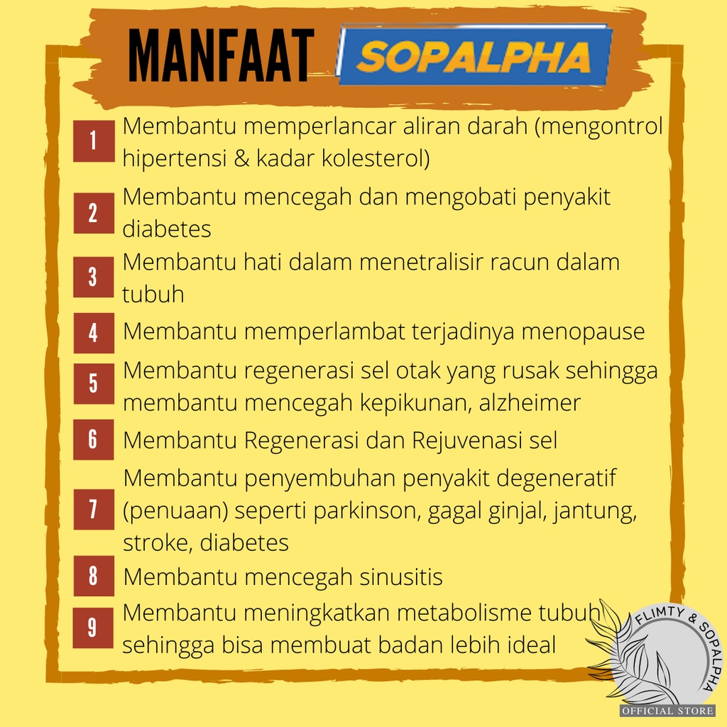 SOPALPHA 4 BOX Minuman Kesehatan Obat Suplemen Daya Tahan Tubuh Herbal Diabetes Kolesterol Diet BPOM