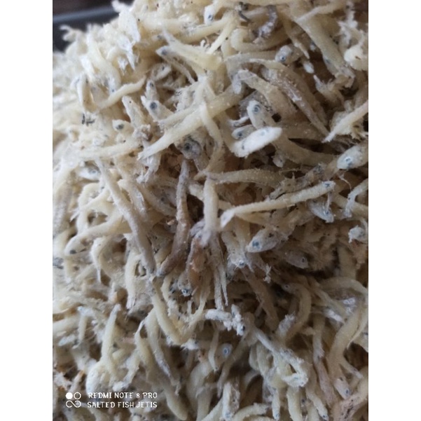 

Teri nasi asin atau terimedan