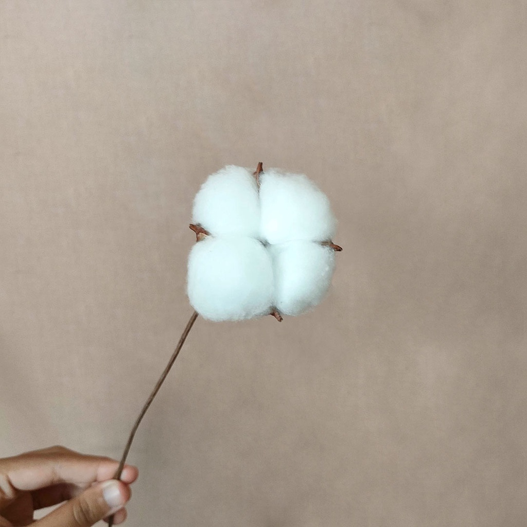 Artificial Cotton Single Stem Flower Bunga kapas Pajangan Hiasan Dekorasi Rumah