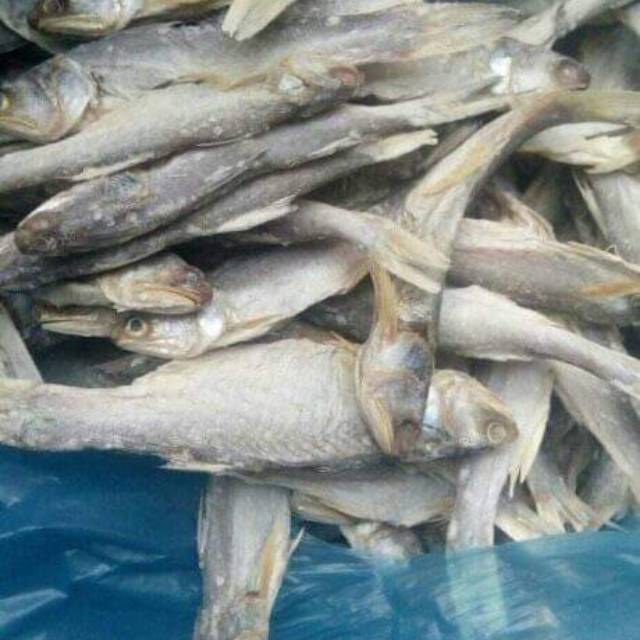 

Ikan Asin Senangin