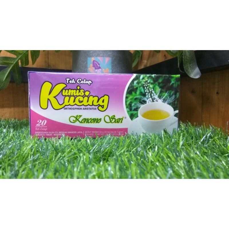

TEH HERBAL TEH KUMIS KUCING
