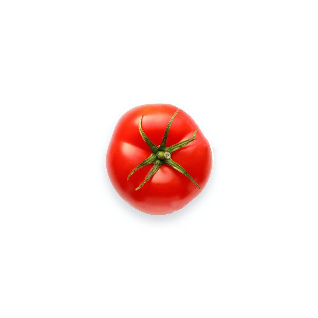

SAYUR ORGANIK Tomat Buah