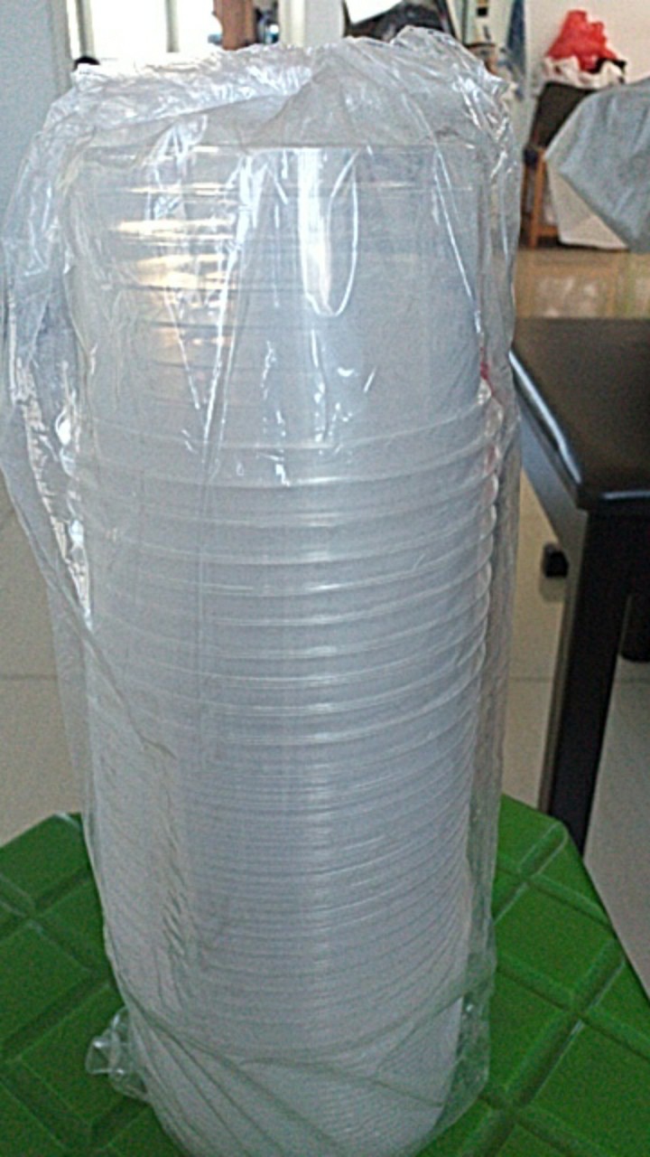 Thinwall Bowl 300 Ml Tempat Makanan Cup Puding + Tutup Mangkok Salad Buah Pp Foodgrade Surabaya Suda