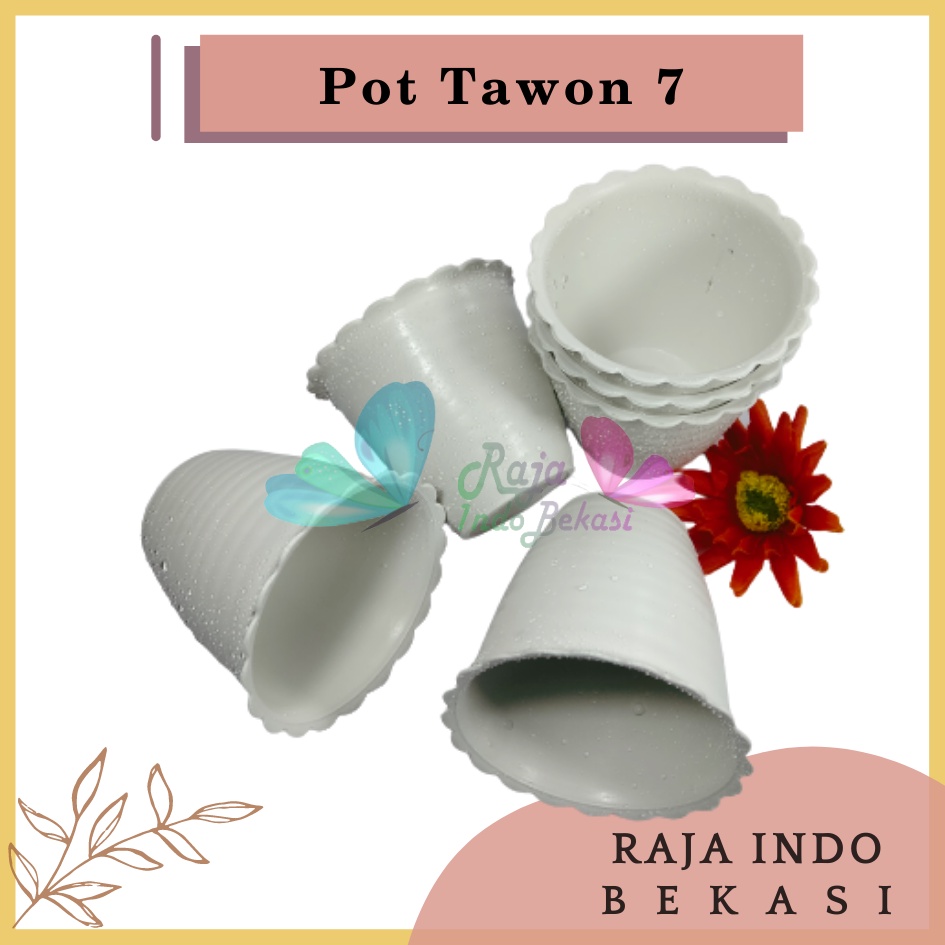 Pot Tawon 7 Putih 7.5 Cm By Garden Of Love Pot Bunga Plastik Mini Lucu Vas Bunga Kaktus Kecil