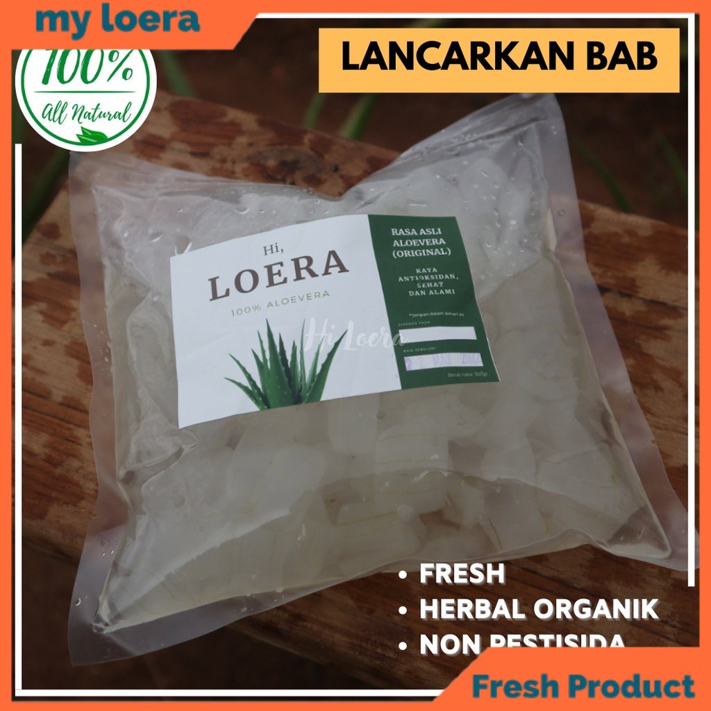 

myloera Lidah Buaya Aloevera Aloe Vera Kupas Obat Herbal Asam Lambung Maag Gerd Gula Darah dan Darah Tinggi 500 Gram Kemasan Plastik