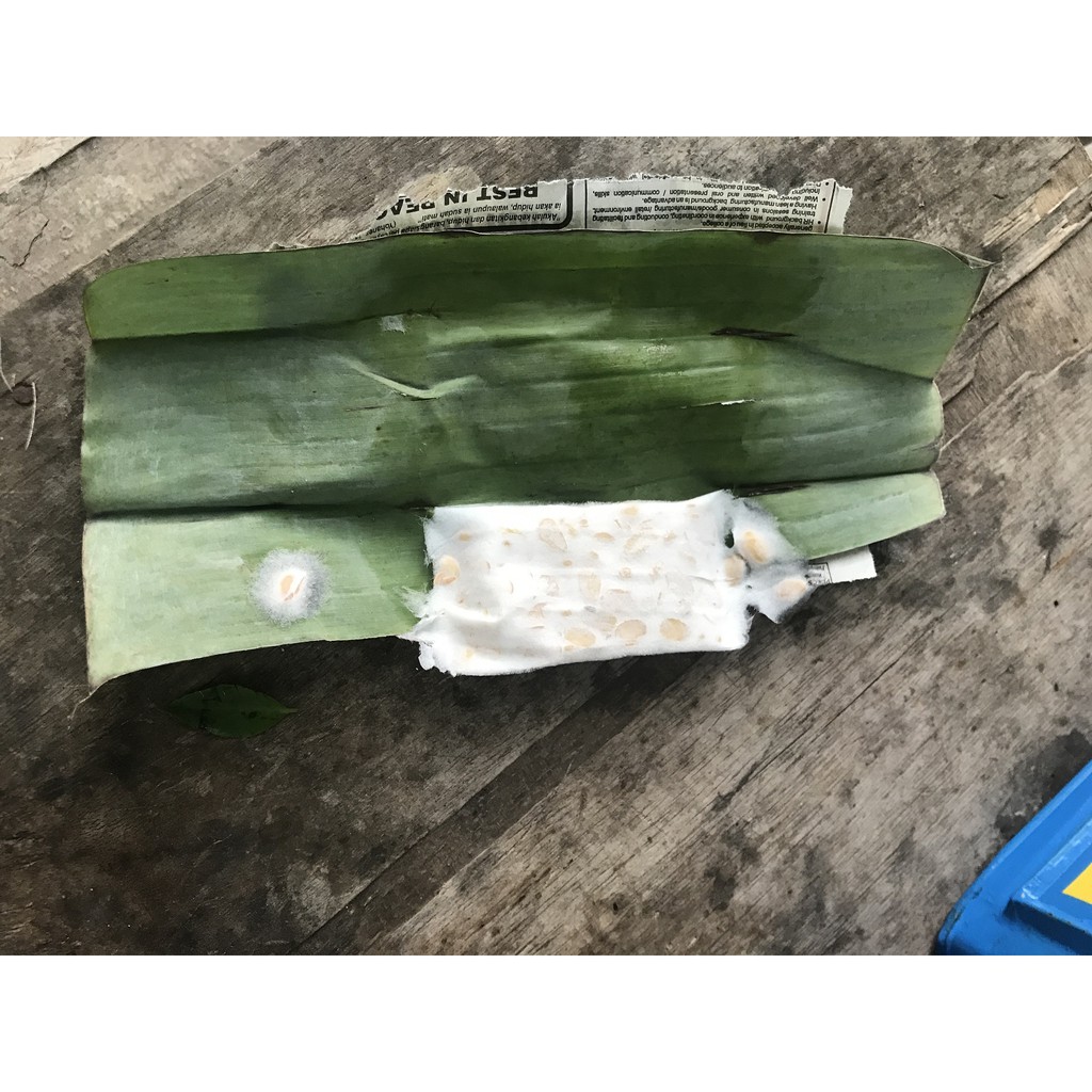 

TEMPE KECIL PER 5pcs