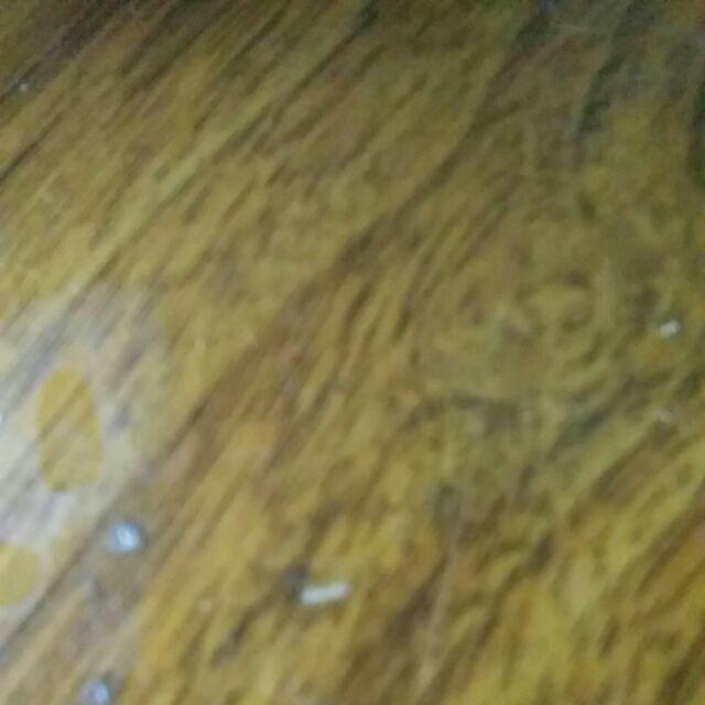 Gosok Panci Staniless Steelwool Bagus