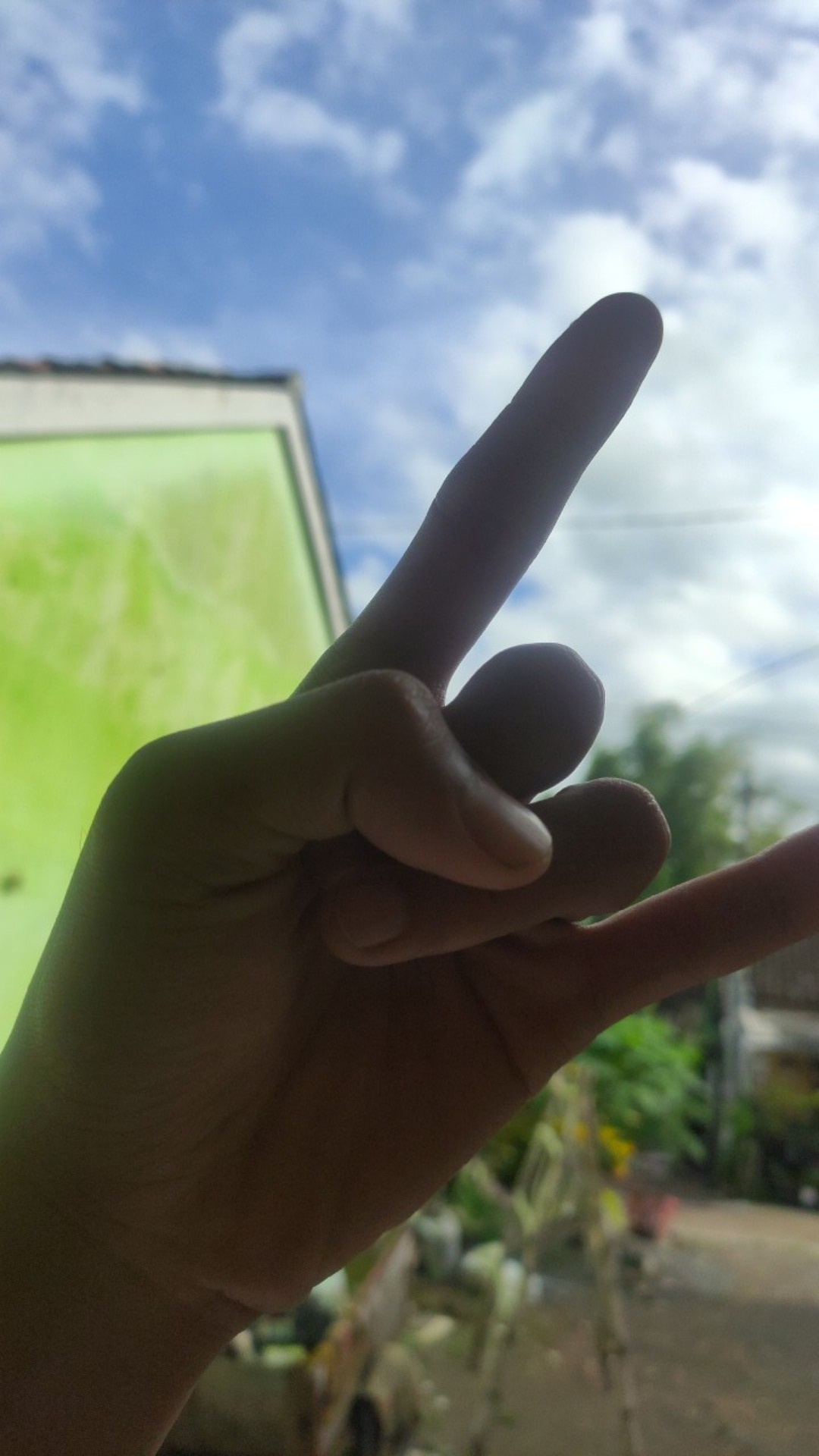 Akar Bahar Singa Putih Ukir