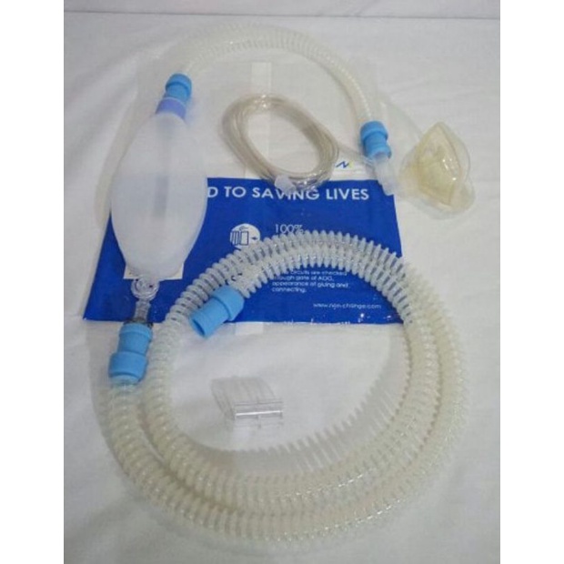 Jackson Rees Adult Jacson rees dewasa