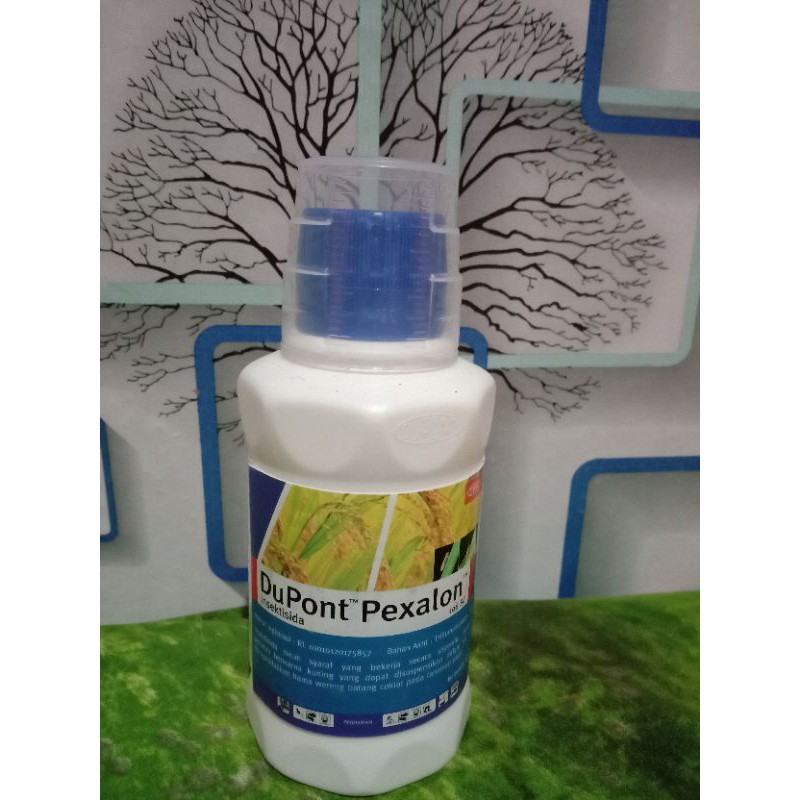 Pexalon 240 Ml