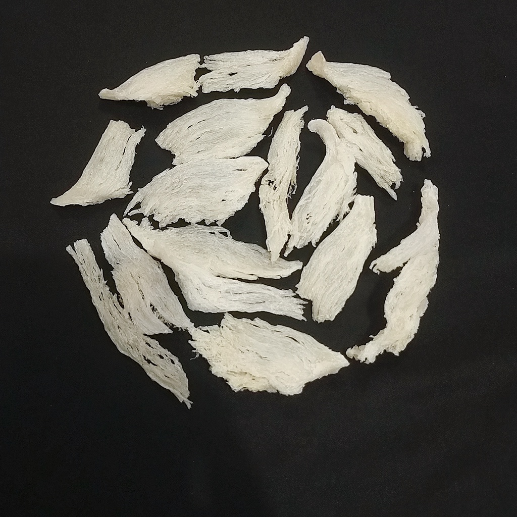 

Sarang Walet Kalimantan - Patahan Kecil