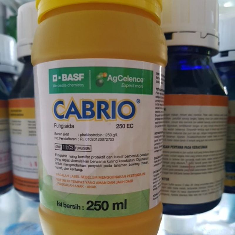 CABRIO 250 EC 250 ML