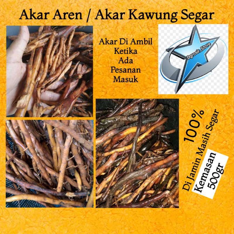

Akar Aren / Akar Kawung Herbal Tradisional 500gr