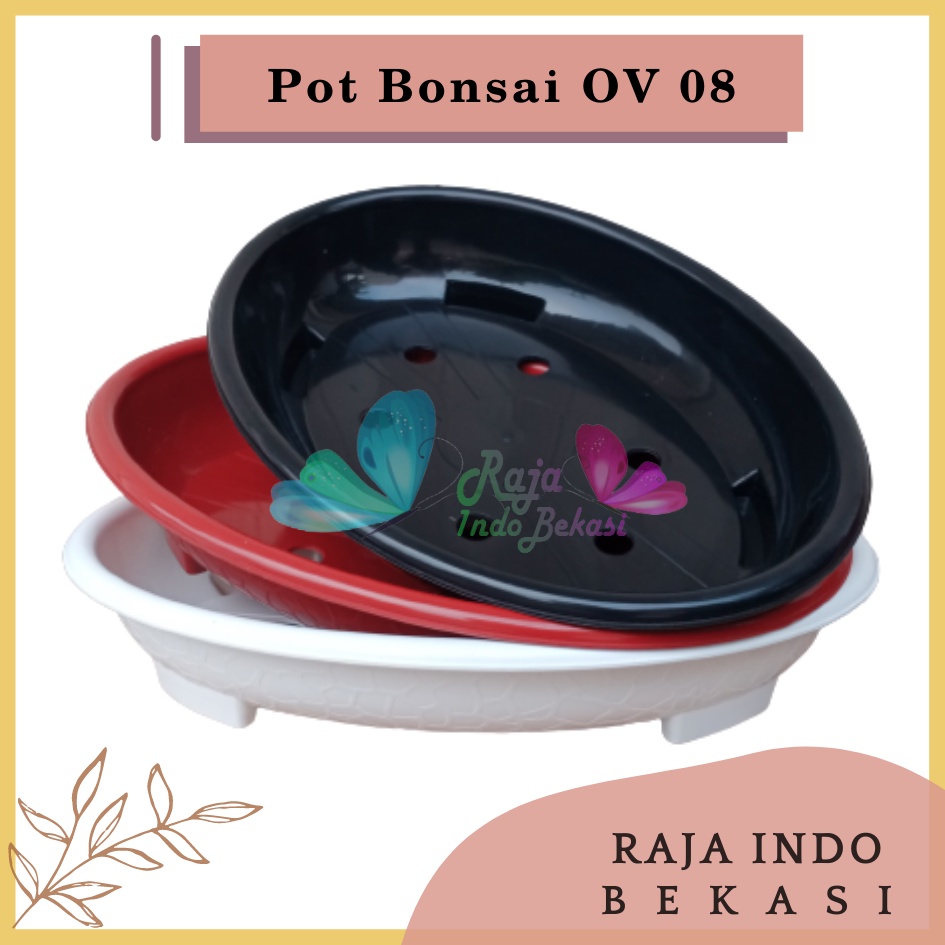 Ori Bjp Bonsai Oval Ov 08 Putih Hitam Merah Bata Coklat Pot Bunga Plastik Bonsai Budi Jaya Motif Batu Alam Ceper PendekPot Bonsai Plastik Keramik Semen Bonsai Mame Kelapa Besar Mini