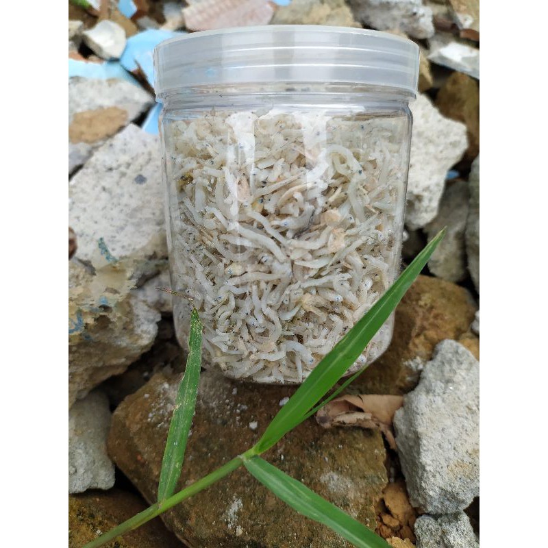 

Teri Medan Asli