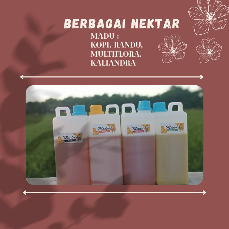 

Madu Murni Asli Fatimah Gudang Madu Grade A Variant Nektar