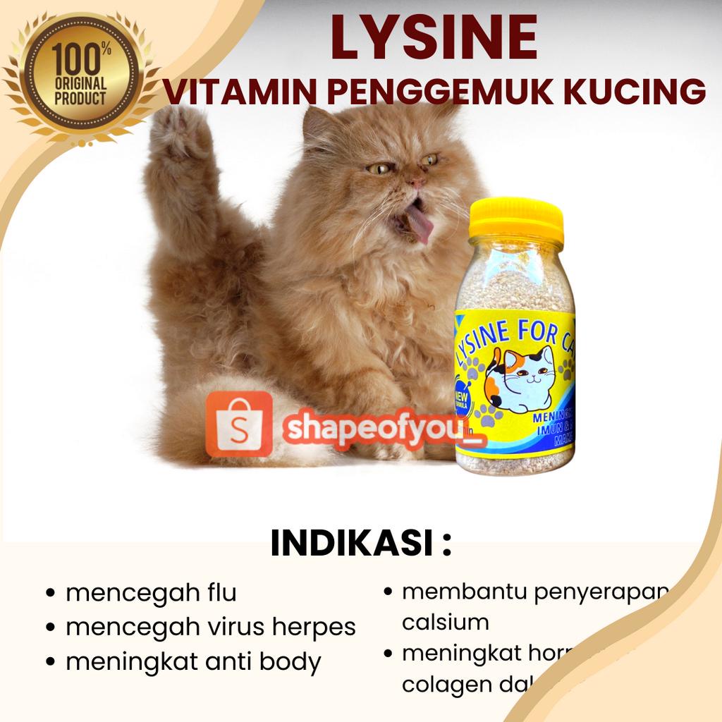 Vitamin Lysine Penggemuk Kucing Kitten Lisine Plus Vitamin Penambah nafsu makan Hewan Lengkap Cat Lisine