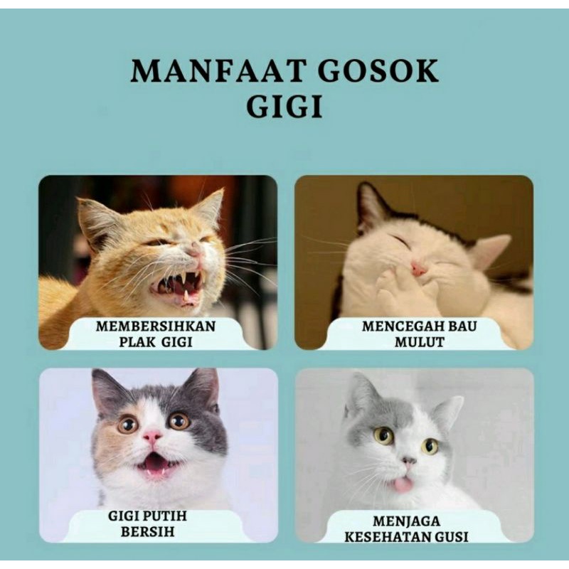 Pasta Gigi Odol Untuk Anjing dan Kucing Gratis Sikat Gigi Jari Anabul Dengan Pilihan Sikat Gigi / Toothbrush Toothpaste