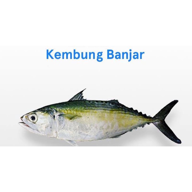 

Ikan kembung banjar