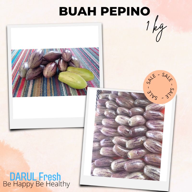 

Buah Pepino atau Buah Put organik Premium fresh 1 Kg