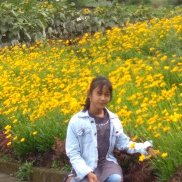 adindacitrasekarsari