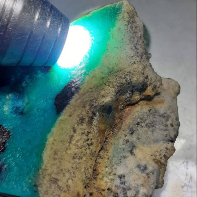 Bacan Majiko HQ
