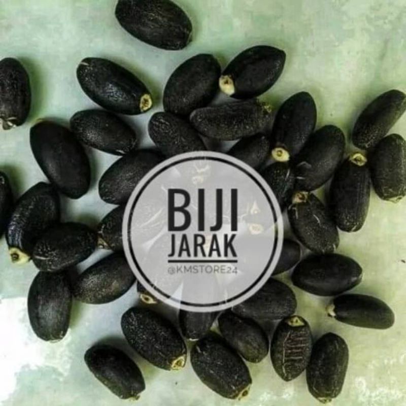 

Biji jarak pagar 500gr