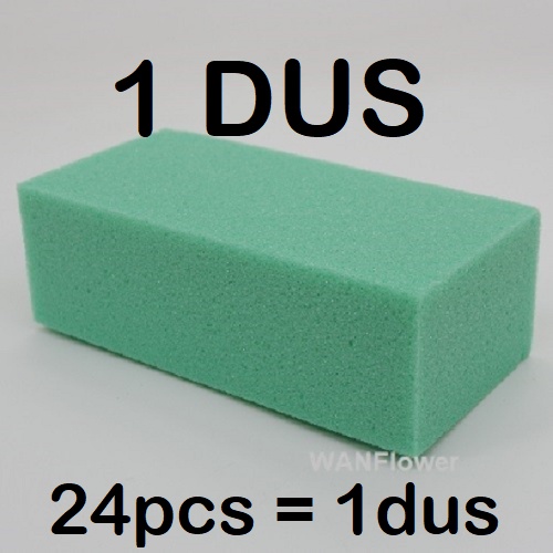 WANFLOWER PerDUS 24pcs Floral Foam Busa Kering 20x10x7