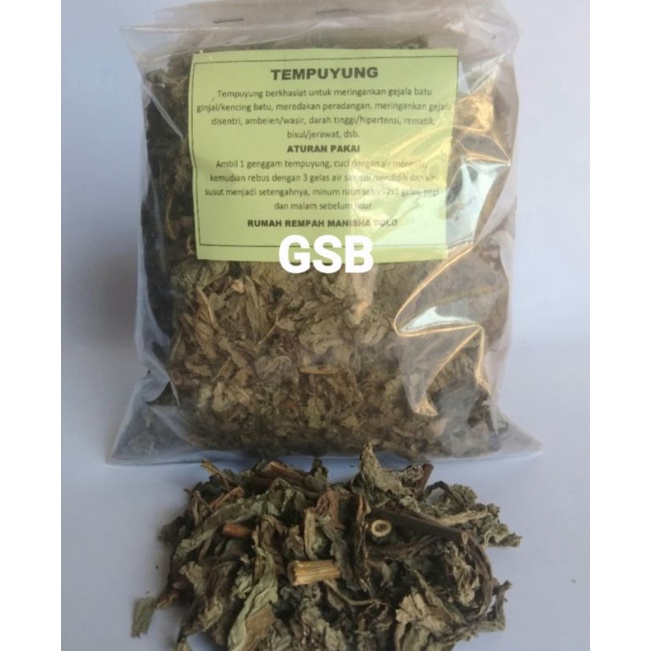 

Daun tempuyung kering perbungkus asli